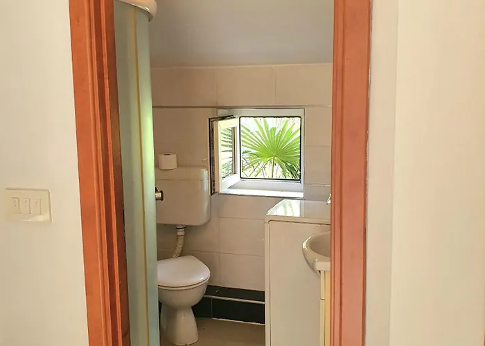 Ascic Apartament *